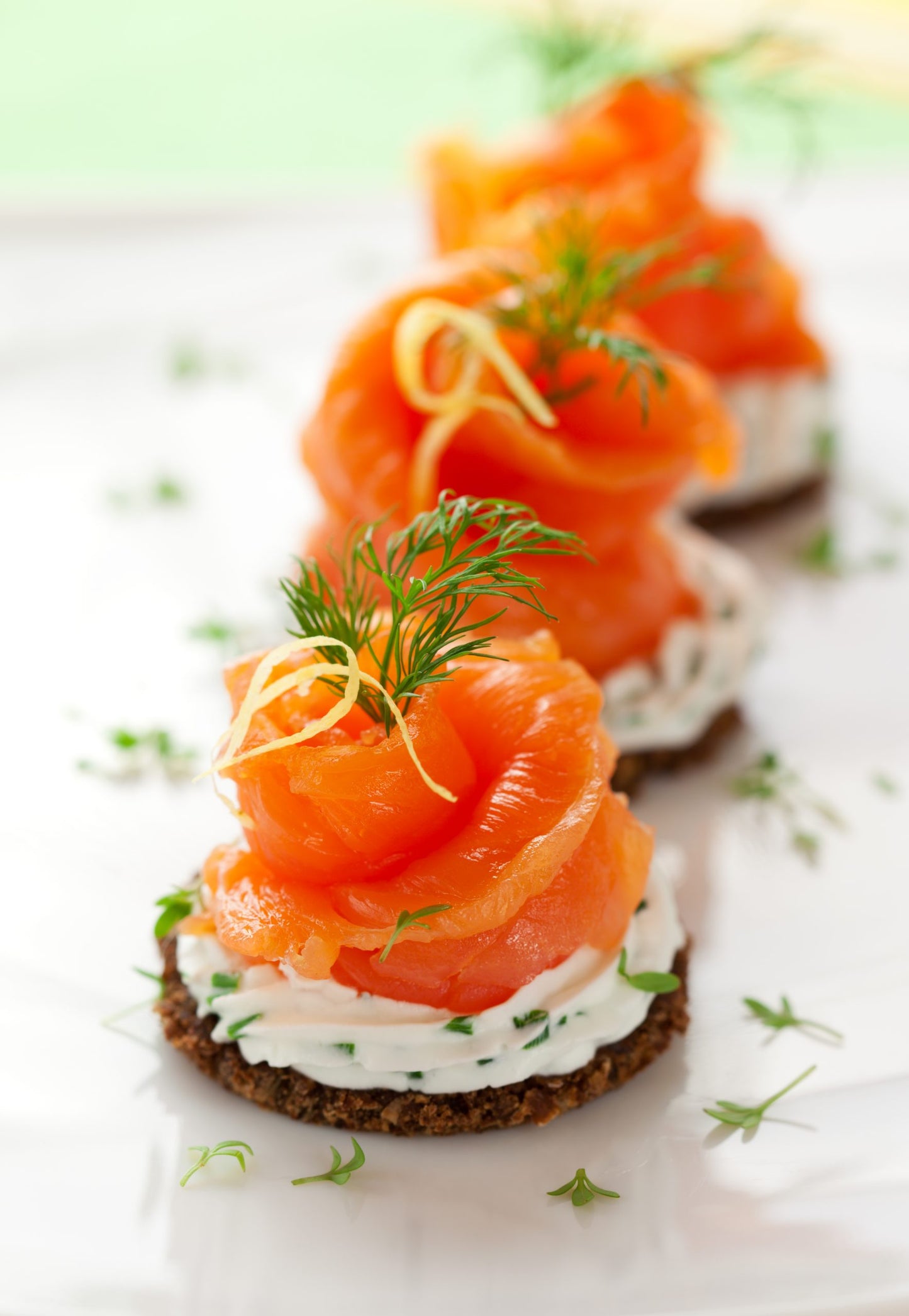 How to Quick Cure Salmon (Gravlax)